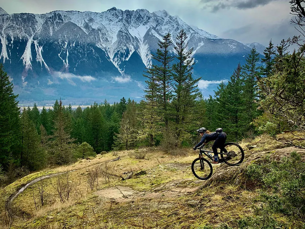 Mountain biking in Pemberton looking at Mount Currie. 
