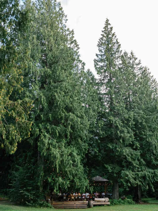 Long table rehearsal dinner. Guests gather to enjoy a meal together under lights on the outdoor patio surrounded by ancient cedar trees. 