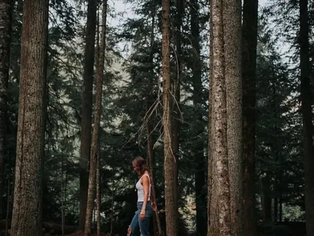 Three Easy Pemberton Day Hikes 